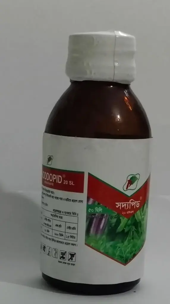 সদ্যপিড (100ml)