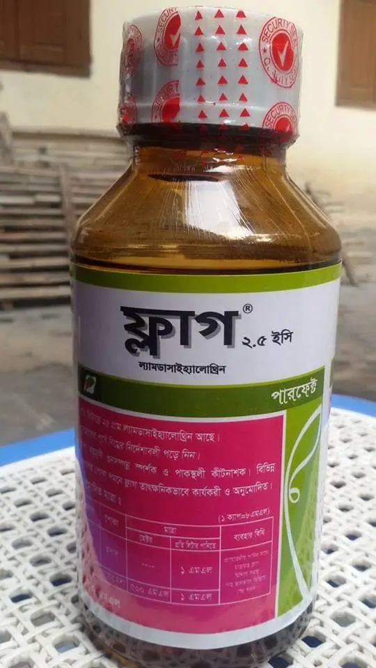ফ্লাগ (500ml)