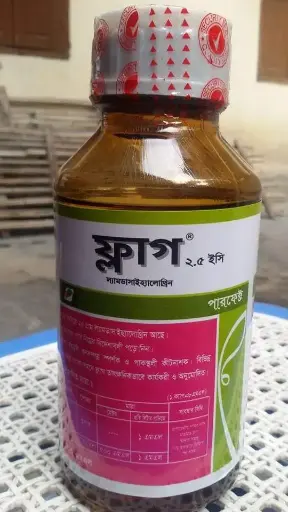 ফ্লাগ (500ml)